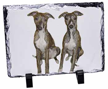 Whippet Dogs, Stunning Photo Slate
