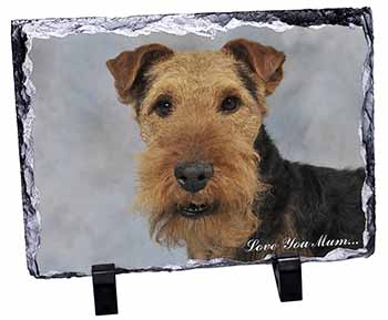 Welsh Terrier Dog 