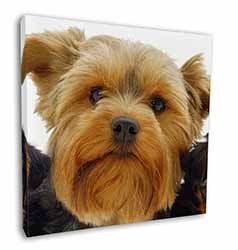 Yorkshire Terrier Dog Square Canvas 12"x12" Wall Art Picture Print