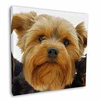 Yorkshire Terrier Dog Square Canvas 12"x12" Wall Art Picture Print