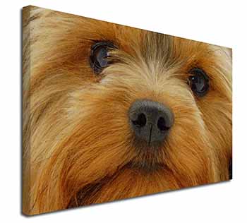 Yorkshire Terrier Dog Canvas X-Large 30"x20" Wall Art Print