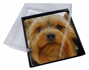 4x Yorkshire Terrier Dog Picture Table Coasters Set in Gift Box