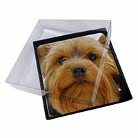 4x Yorkshire Terrier Dog Picture Table Coasters Set in Gift Box