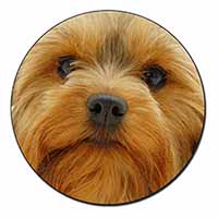 Yorkshire Terrier Dog Fridge Magnet Printed Full Colour