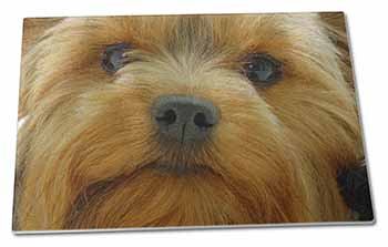 Large Glass Cutting Chopping Board Yorkshire Terrier Dog