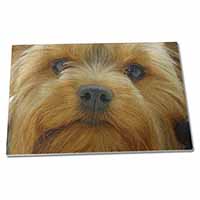 Large Glass Cutting Chopping Board Yorkshire Terrier Dog
