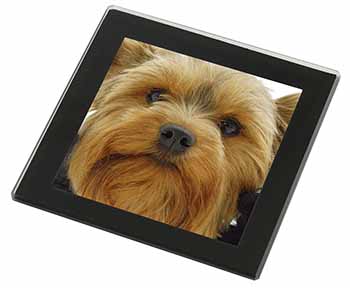 Yorkshire Terrier Dog Black Rim High Quality Glass Coaster