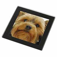 Yorkshire Terrier Dog Black Rim High Quality Glass Coaster