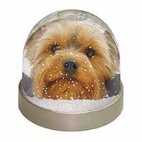 Yorkshire Terrier Dog Snow Globe Photo Waterball