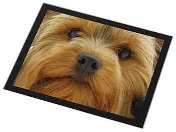Yorkshire Terrier Dog Black Rim High Quality Glass Placemat