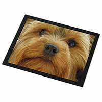 Yorkshire Terrier Dog Black Rim High Quality Glass Placemat