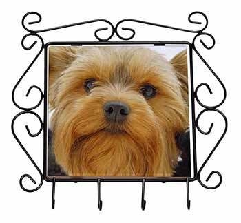 Yorkshire Terrier Dog Wrought Iron Key Holder Hooks