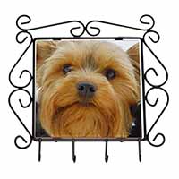 Yorkshire Terrier Dog Wrought Iron Key Holder Hooks