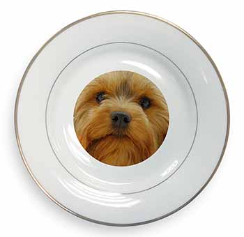 Yorkshire Terrier Dog Gold Rim Plate Printed Full Colour in Gift Box