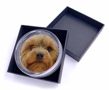 Yorkshire Terrier Dog Glass Paperweight in Gift Box