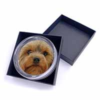 Yorkshire Terrier Dog Glass Paperweight in Gift Box