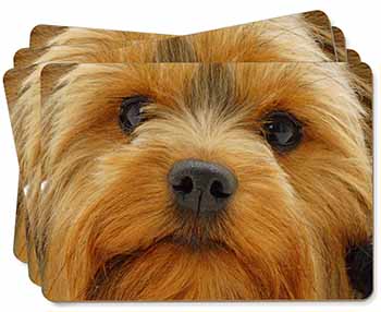 Yorkshire Terrier Dog Picture Placemats in Gift Box