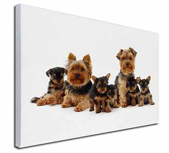 Yorkshire Terrier Dogs Canvas X-Large 30"x20" Wall Art Print