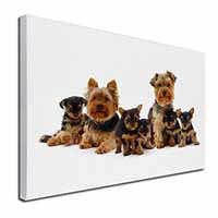 Yorkshire Terrier Dogs Canvas X-Large 30"x20" Wall Art Print