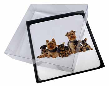 4x Yorkshire Terrier Dogs Picture Table Coasters Set in Gift Box