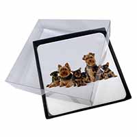 4x Yorkshire Terrier Dogs Picture Table Coasters Set in Gift Box