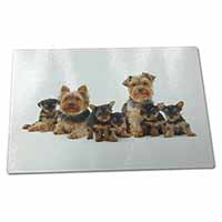 Large Glass Cutting Chopping Board Yorkshire Terrier Dogs