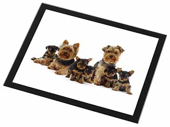 Yorkshire Terrier Dogs Black Rim High Quality Glass Placemat