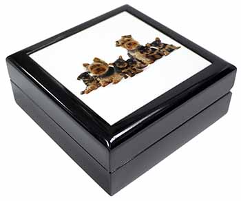 Yorkshire Terrier Dogs Keepsake/Jewellery Box