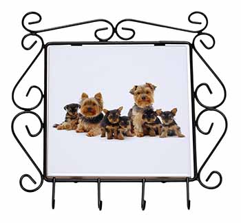 Yorkshire Terrier Dogs Wrought Iron Key Holder Hooks