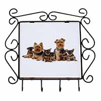 Yorkshire Terrier Dogs Wrought Iron Key Holder Hooks