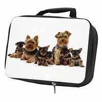 Yorkshire Terrier Dogs Black Insulated School Lunch Box/Picnic Bag