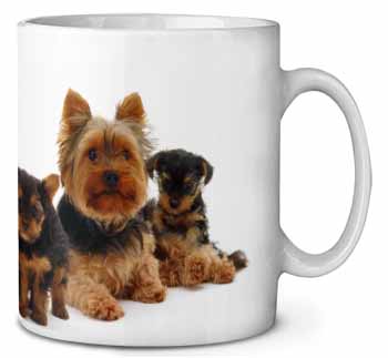 Yorkshire Terrier Dogs Ceramic 10oz Coffee Mug/Tea Cup