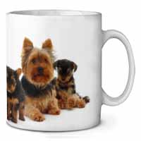 Yorkshire Terrier Dogs Ceramic 10oz Coffee Mug/Tea Cup