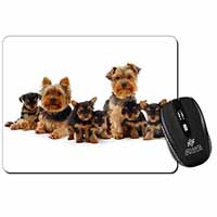 Yorkshire Terrier Dogs Computer Mouse Mat