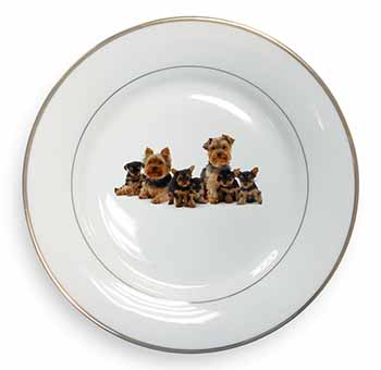 Yorkshire Terrier Dogs Gold Rim Plate Printed Full Colour in Gift Box