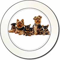 Yorkshire Terrier Dogs Car or Van Permit Holder/Tax Disc Holder