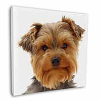 Cute Yorkshire Terrier Dog Square Canvas 12"x12" Wall Art Picture Print