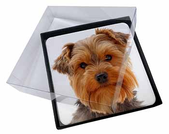 4x Cute Yorkshire Terrier Dog Picture Table Coasters Set in Gift Box