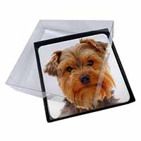 4x Cute Yorkshire Terrier Dog Picture Table Coasters Set in Gift Box