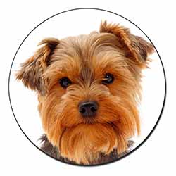 Cute Yorkshire Terrier Dog Fridge Magnet Printed Full Colour