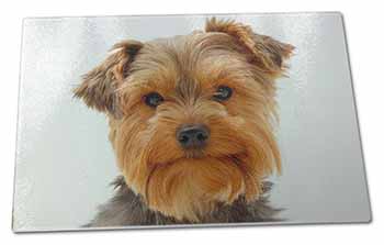 Large Glass Cutting Chopping Board Cute Yorkshire Terrier Dog