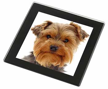 Cute Yorkshire Terrier Dog Black Rim High Quality Glass Coaster