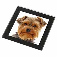 Cute Yorkshire Terrier Dog Black Rim High Quality Glass Coaster