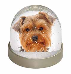 Cute Yorkshire Terrier Dog Snow Globe Photo Waterball