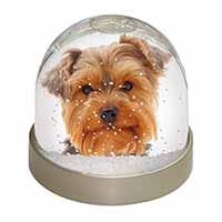 Cute Yorkshire Terrier Dog Snow Globe Photo Waterball