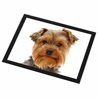 Cute Yorkshire Terrier Dog Black Rim High Quality Glass Placemat