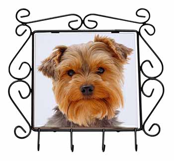 Cute Yorkshire Terrier Dog Wrought Iron Key Holder Hooks