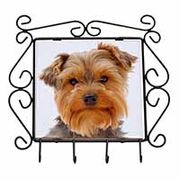 Cute Yorkshire Terrier Dog Wrought Iron Key Holder Hooks