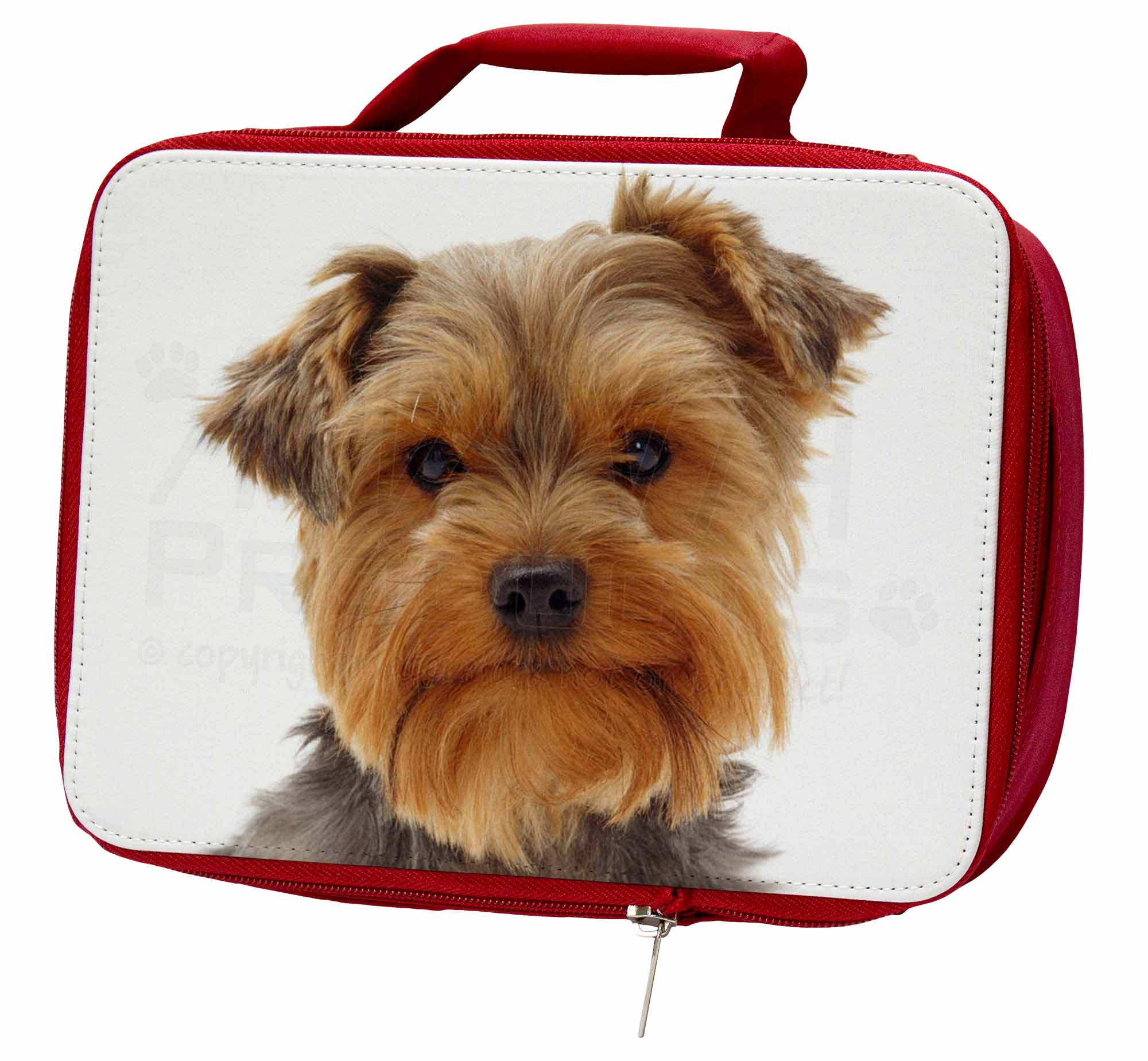 Cute Yorkshire Terrier Dog Insulated Red School Lunch BoxPicnic Bag, ADY12LBR Cute Yorkshire Terrier Dog Insulated Red School Lunch BoxPicnic Bag, ADY12LBR
