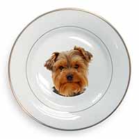 Cute Yorkshire Terrier Dog Gold Rim Plate Printed Full Colour in Gift Box